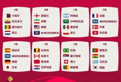 卡塔尔世界杯(卡塔尔世界杯裁判名单)