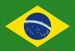 2010世界杯巴西(2010世界杯巴西大名单)