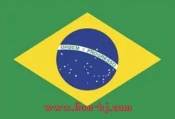 巴西世界杯(巴西世界杯阵容)