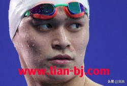 上海游泳世锦赛(上海游泳世锦赛主题曲)