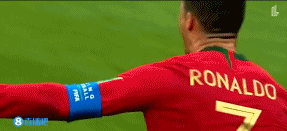 西班牙vs葡萄牙世界杯(西班牙vs葡萄牙世界杯视频回放)  第12张