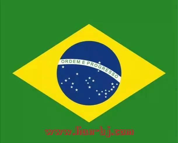 2010世界杯巴西(2010世界杯巴西大名单)  第3张